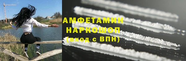 индика Богданович