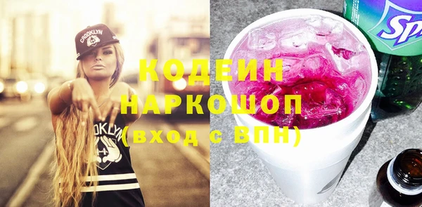 индика Богданович