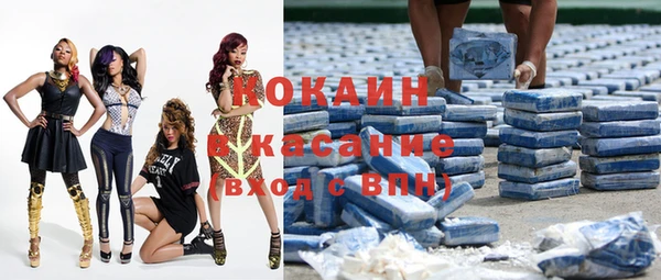 индика Богданович