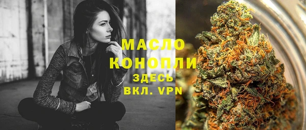 индика Богданович