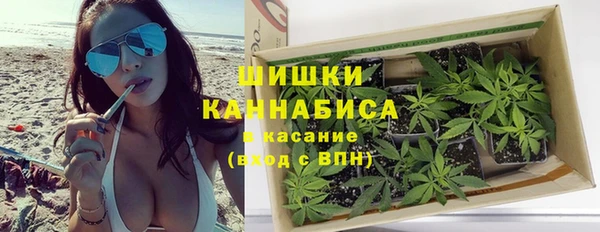 индика Богданович