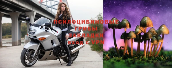 ALPHA PVP Богородск
