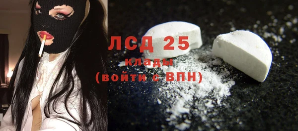 индика Богданович