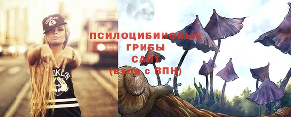 индика Богданович
