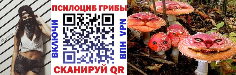 Псилоцибиновые грибы мухоморы  Надым 