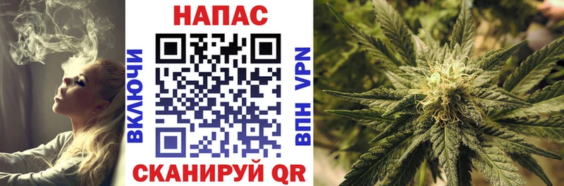 hydra ссылка  Надым  Шишки марихуана ГИДРОПОН  как найти наркотики 
